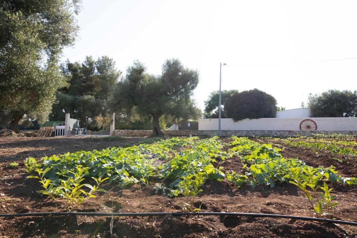 Agrifamily Village San Vito dei Normanni Eksteriør bilde